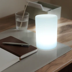 סטנד לד מואר