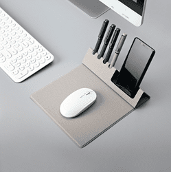 פד לעכבר בוהמה