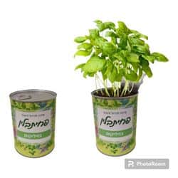 פחית תבלין ממותגת