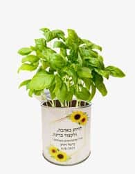 פחית תבלין ממותגת