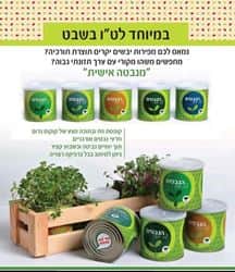 נבטים בפחית.