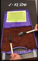 מזוודת הנבטה ממותגת