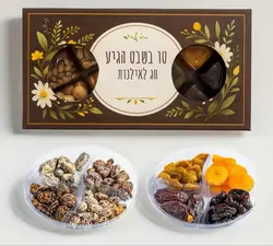 מארז מגשים פירות יבשים